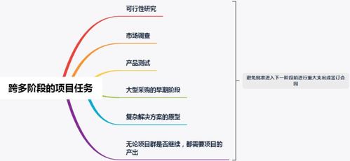 圖解項(xiàng)目群的藍(lán)圖設(shè)計(jì)與交付管理